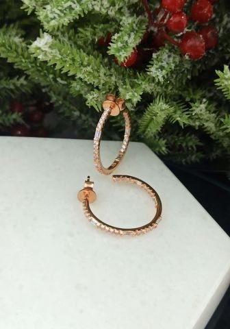 925 Ayar Zirkon Taşlı Gümüş Küpe