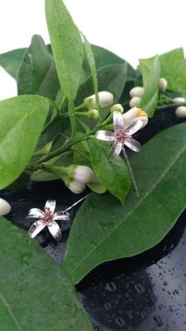 925 Ayar Gümüş Yaka İğnesi