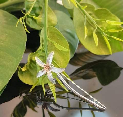 925 Ayar Gümüş Broş