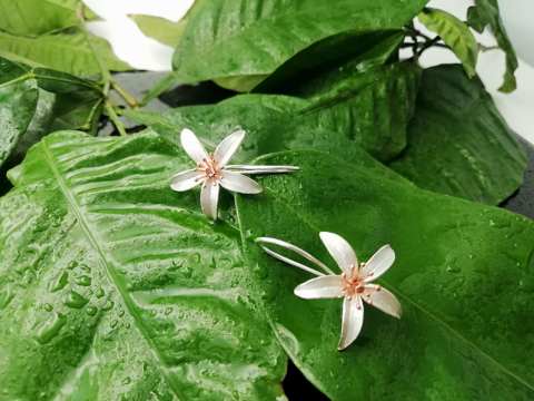 925 Ayar Gümüş Küpe