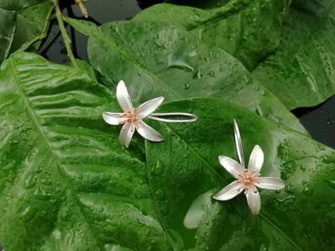 925 Ayar Gümüş Küpe