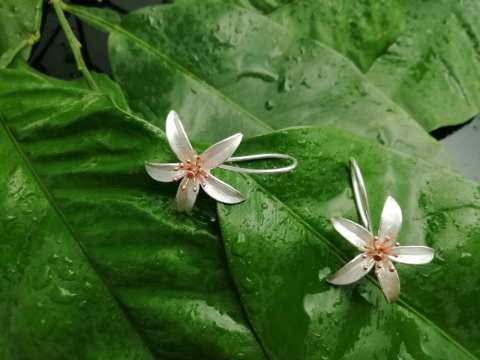 925 Ayar Gümüş Küpe