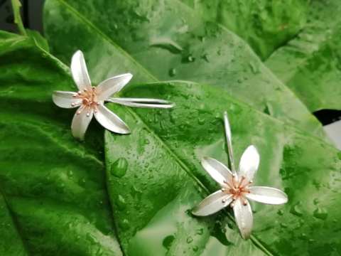 925 Ayar Gümüş Küpe