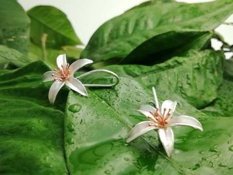 925 Ayar Mengiçli Portakal Çiçeği Gümüş Küpe